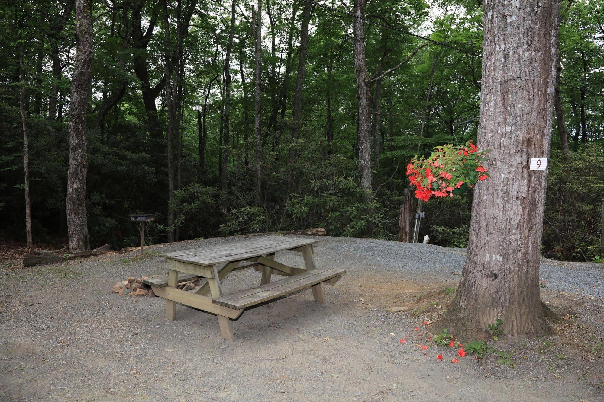 Linville Falls Campground, Rv Park, And Cabins Exterior foto